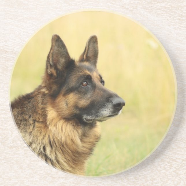 Niedlicher Schäferhund-Untersetzer Sandstein Untersetzer (Vorne)