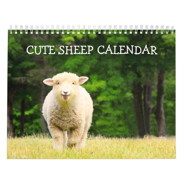 Niedlicher Schafkalender Kalender (Titelbild)