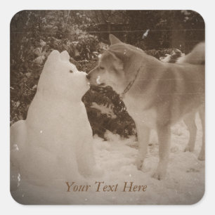 niedlicher Schneehund akita küsst bei Weihnachten Quadratischer Aufkleber