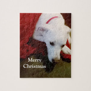 Niedlicher schneeweißer Welpenhund mit Weihnachten