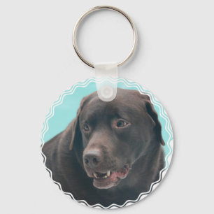 Niedlicher Schokolade-Labrador Schlüsselanhänger