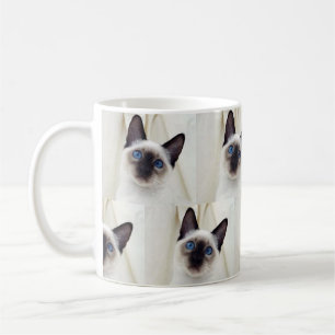 Niedlicher Schöner Schwarz-weißer Haustier Siam  Kaffeetasse