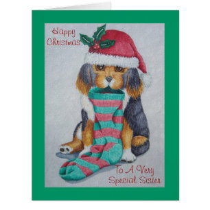 niedlicher, schwarz-brauner Welpe mit Weihnachtswe
