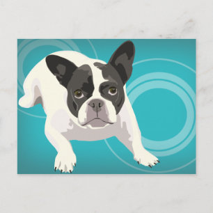 Niedlicher Schwarz-Weiß-Bulldog auf Blue Back Postkarte