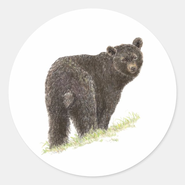 Niedlicher Schwarzer Bär, Tierart, Wildtiere Runder Aufkleber (Vorderseite)