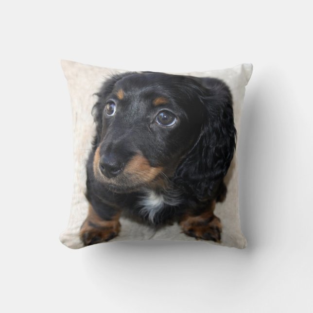 Niedlicher schwarzer Dackel Welpenhund Kissen (Vorderseite)