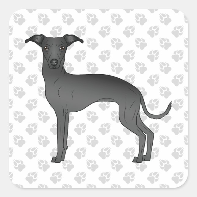 Niedlicher schwarzer italienischer Grauhund Cartoo Quadratischer Aufkleber (Vorderseite)