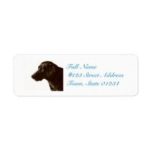 Niedlicher schwarzer Labrador