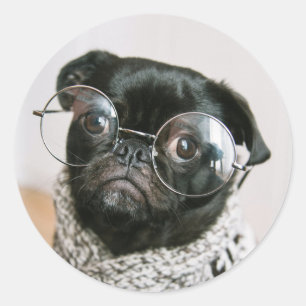 Niedlicher Schwarzer Mops mit Glasses Hund Foto Runder Aufkleber