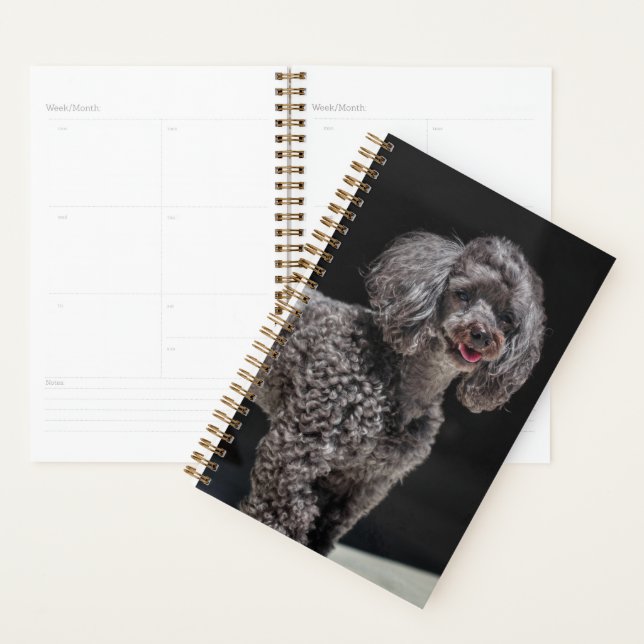 Niedlicher schwarzer Poodle Hund Kopf Lächeln Planer (Anzeige)