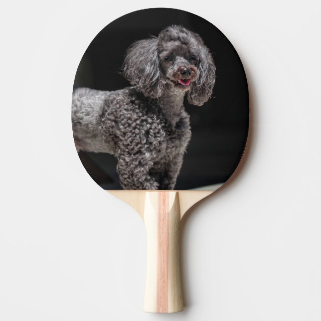 Niedlicher schwarzer Poodle Hund Kopf Lächeln Tischtennis Schläger (Vorderseite)