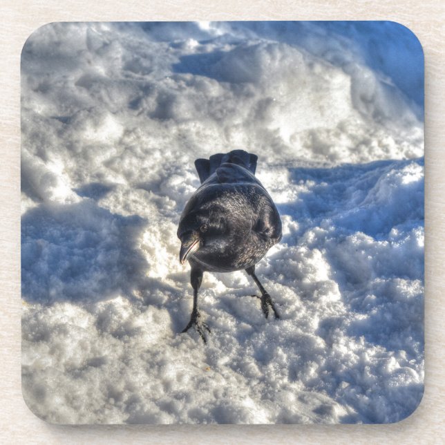 Niedlicher Schwarzer Rabe im Schnee-Foto Getränkeuntersetzer (Vorderseite)