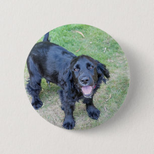 Niedlicher Schwarzer Welpe Button