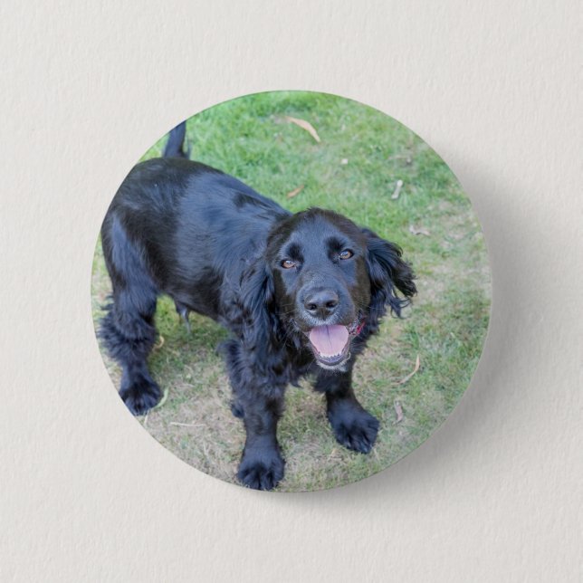 Niedlicher Schwarzer Welpe Button (Vorderseite)