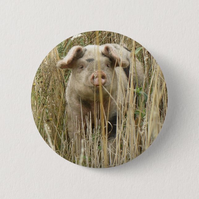 Niedlicher Schweinekopf Button (Vorderseite)