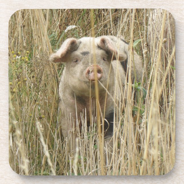 Niedlicher Schweinekork-Untersetzer Untersetzer (Vorderseite)