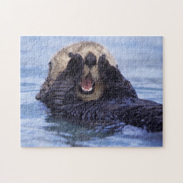 Niedlicher Seeotter | Alaska, USA (Horizontal)