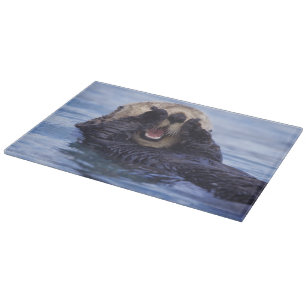 Niedlicher Seeotter Alaska, USA Schneidebrett
