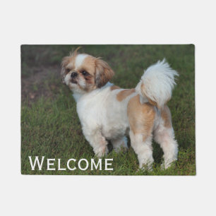 Niedlicher Shih Tzu Fußmatte