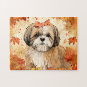 Niedlicher Shih-tzu-Hund/Herbst/Herbst