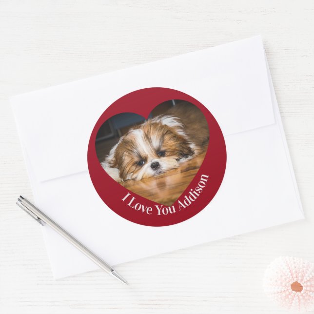 Niedlicher shih tzu Liebe Valentinherz Foto Runder Aufkleber (Umschlag)