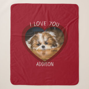 Niedlicher shih tzu Liebe Valentinherz Foto Sherpadecke
