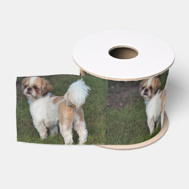 Niedlicher Shih Tzu Ripsband (Spule)
