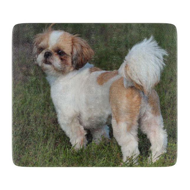 Niedlicher Shih Tzu Schneidebrett (Vorderseite)