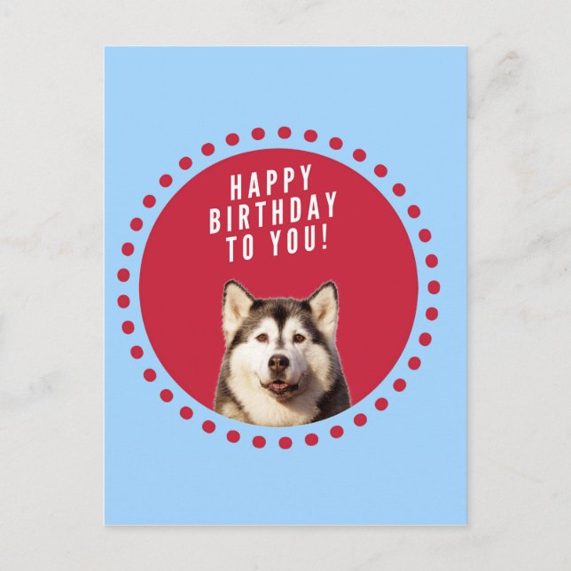Niedlicher sibirischer Husky Happy Geburtstag blau Postkarte (Vorderseite)