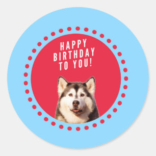 Niedlicher sibirischer Husky Happy Geburtstag blau Runder Aufkleber