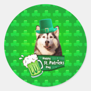 Niedlicher sibirischer Husky-Hund Hund St. Patrick Runder Aufkleber