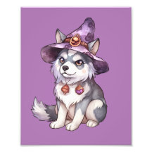 Niedlicher sibirischer Husky-Hund in Hexenhut