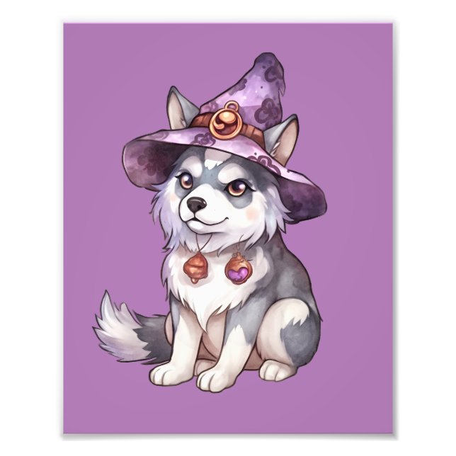 Niedlicher sibirischer Husky-Hund in Hexenhut Fotodruck (Vorne)