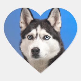 Niedlicher sibirischer Husky-Welpenhund Herz-Aufkleber