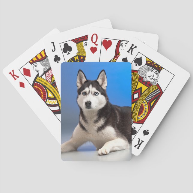 Niedlicher sibirischer Husky-Welpenhund Spielkarten (Rückseite)