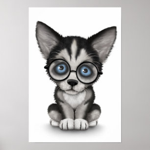 Niedlicher sibirischer poster