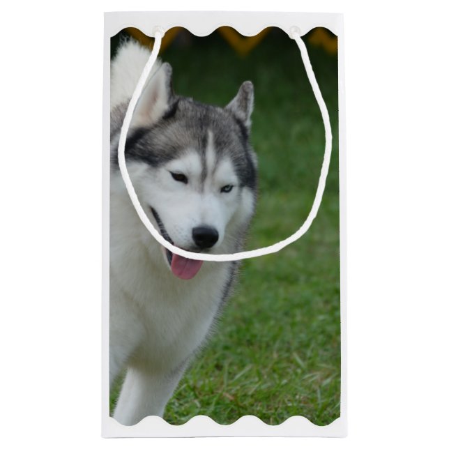Niedlicher sibirischer Schlittenhund Kleine Geschenktüte (Rückseite)