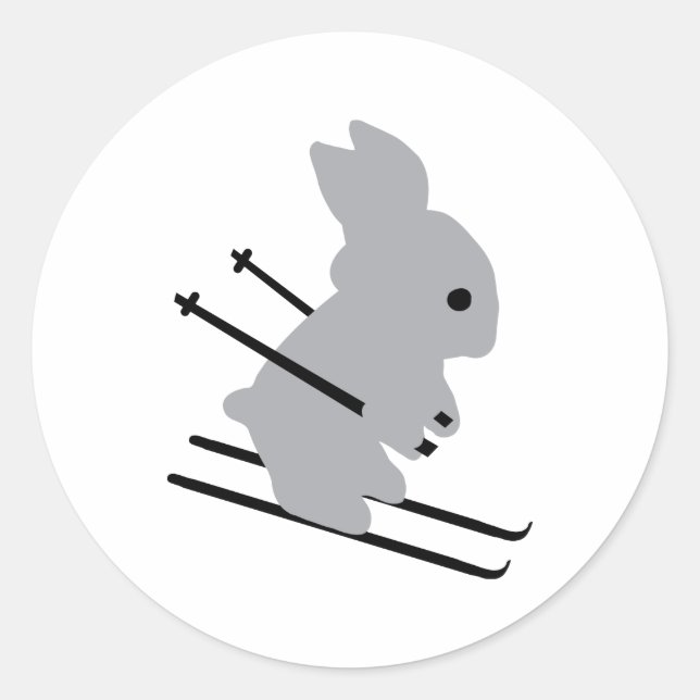 niedlicher Skispass Runder Aufkleber (Vorderseite)