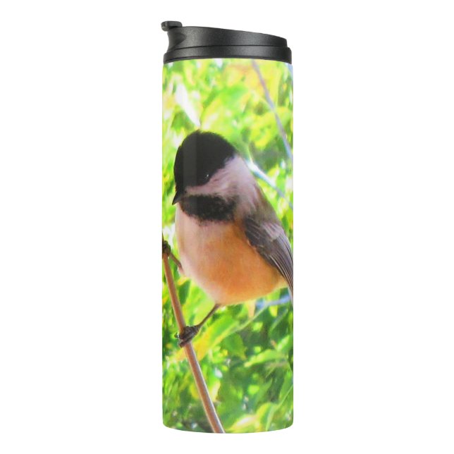 Niedlicher Songbird mit schwarzer Kappenkappe Thermosbecher (Nach rechts gedreht)