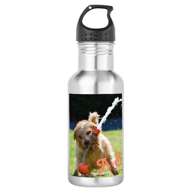 Niedlicher sonniger Sommerhund mit Schlauch Person Edelstahlflasche (Vorderseite)