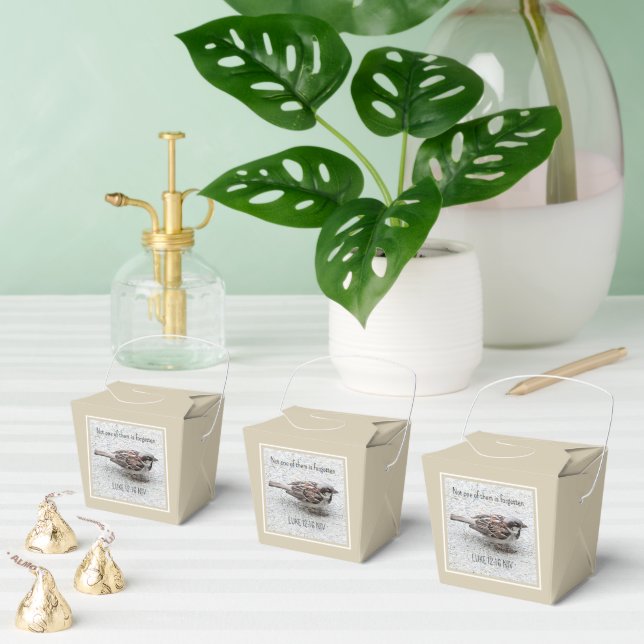 Niedlicher Sparrow Bird Foto Bibel Verse Simple Ta Geschenkschachtel (Zahlreiche)