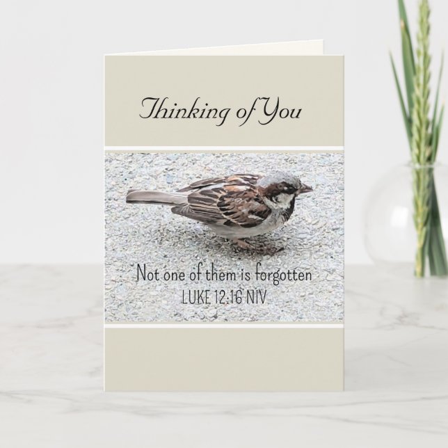 Niedlicher Sparrow Bird Foto Bibel Verse Simple Ta Karte (Vorderseite)