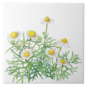 Niedlicher Spaß-Vintage Kamillen-Blumen Fliese