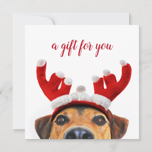 Niedlicher Spaß Weihnachts-Hundeschenkkarte (Vorderseite)