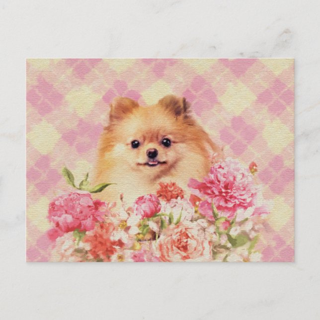 Niedlicher Spitz Deutscher Spitz mit Blume Postkarte (Vorderseite)