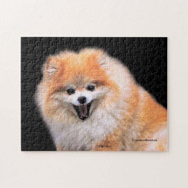 Niedlicher Spitz Hund (Horizontal)