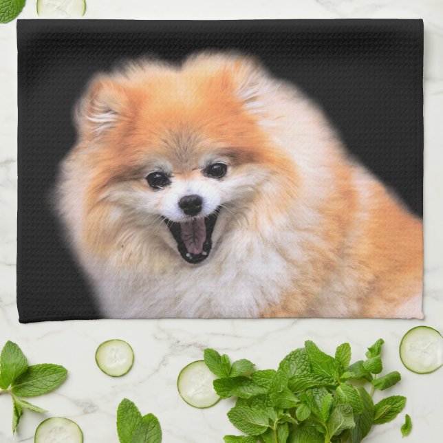 Niedlicher Spitz Hund Geschirrtuch (Gefaltet)