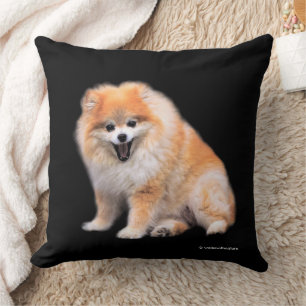 Niedlicher Spitz Hund Kissen