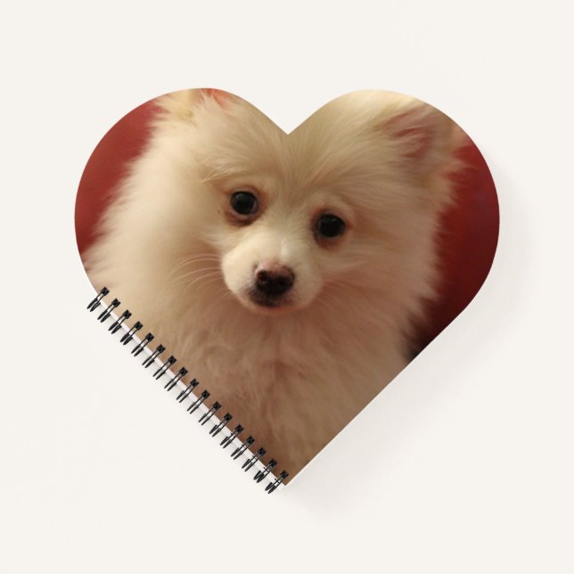 Niedlicher Spitz Notizbuch (Vorderseite)