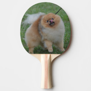 Niedlicher Spitz Tischtennis Schläger